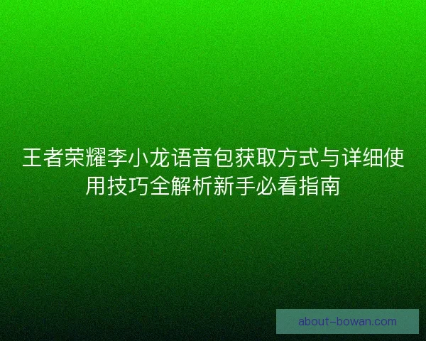 王者荣耀李小龙语音包获取方式与详细使用技巧全解析新手必看指南